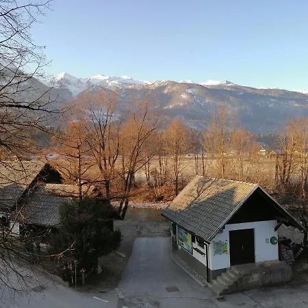 Apartma Kosnik Perunika Bohinj Exterior photo