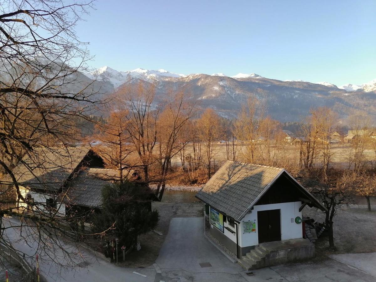 Apartma Kosnik Perunika * Bohinj